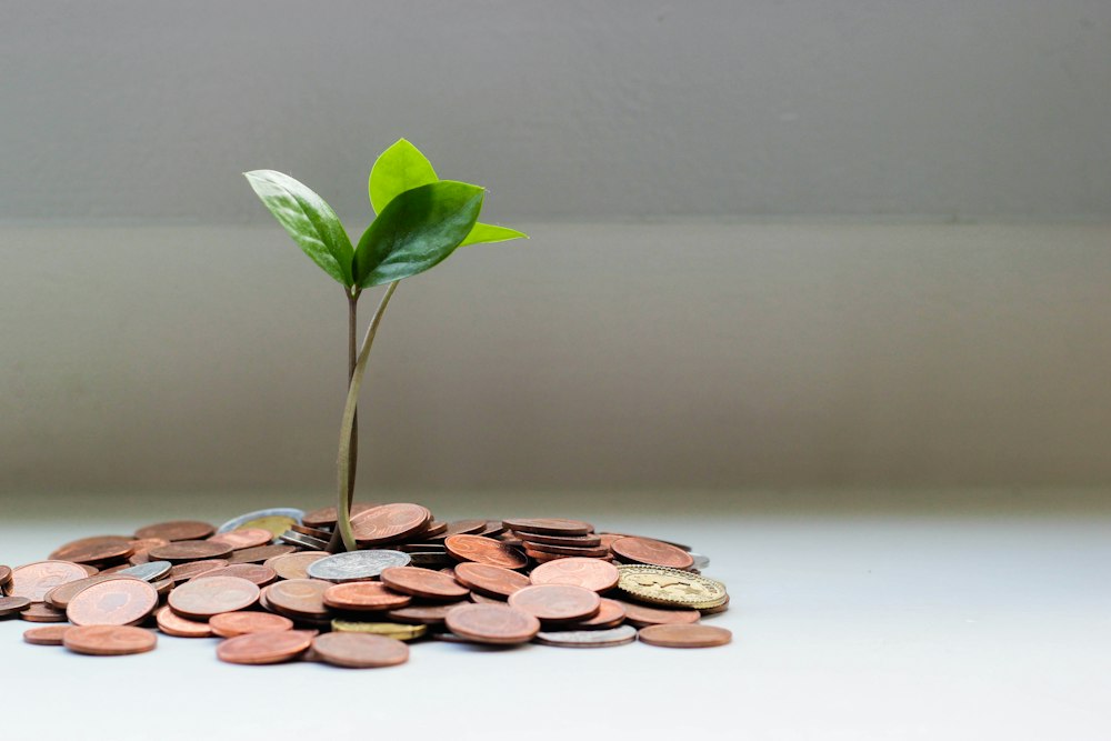 Smart Investment Planning
